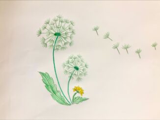 Tô màu hoa bồ công anh